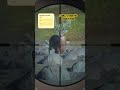 Lynx helps us get a diamond! #gaming #thehuntercallofthewild #hunting #cotw #ps5