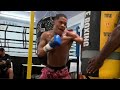 Devin ‘The Dream’ Haney Impressive Speed and Big Power Pad Work and Bag Work Training Highlight #1