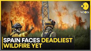 Spain Wildfire Kills 12, Over 20 Missing | Foreign Tourists Among Victims As Massive Blaze Rages