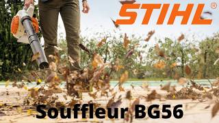 Stihl BG 56 blower full review BG56