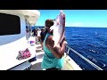 Ultimate Deep-Sea Fishing Trip