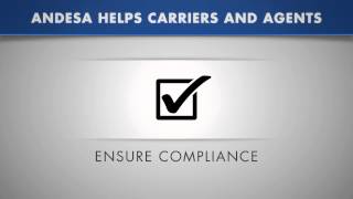 Andesa Services Explainer
