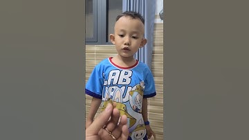 Con chuồn chuồn bay vô nhà