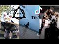 Therian and quadrobics tiktok compilation   alterhumans of tiktok 1