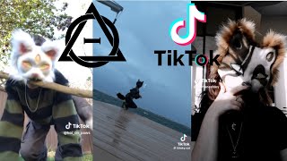 Therian and Quadrobics TikTok Compilation 🐾🍂 || Alterhumans of TikTok #1