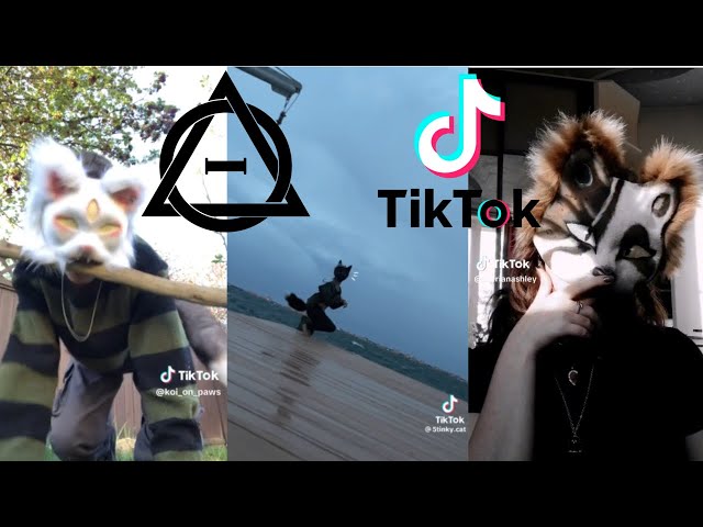 Playlist Therian videos created by @indie_fennec