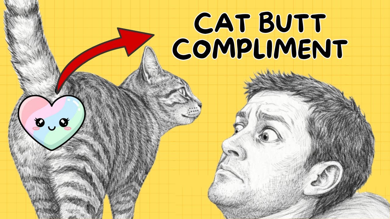 Why Your Cat Puts Their Butt in Your Face (It’s a BIG Compliment)