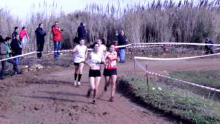 Corta Mato Pêra Rocha do Oeste / Distrital Cross Curto Leiria 2017