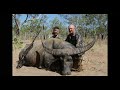 Water Buffalo Hunting: Big Country Safaris 1st hunt