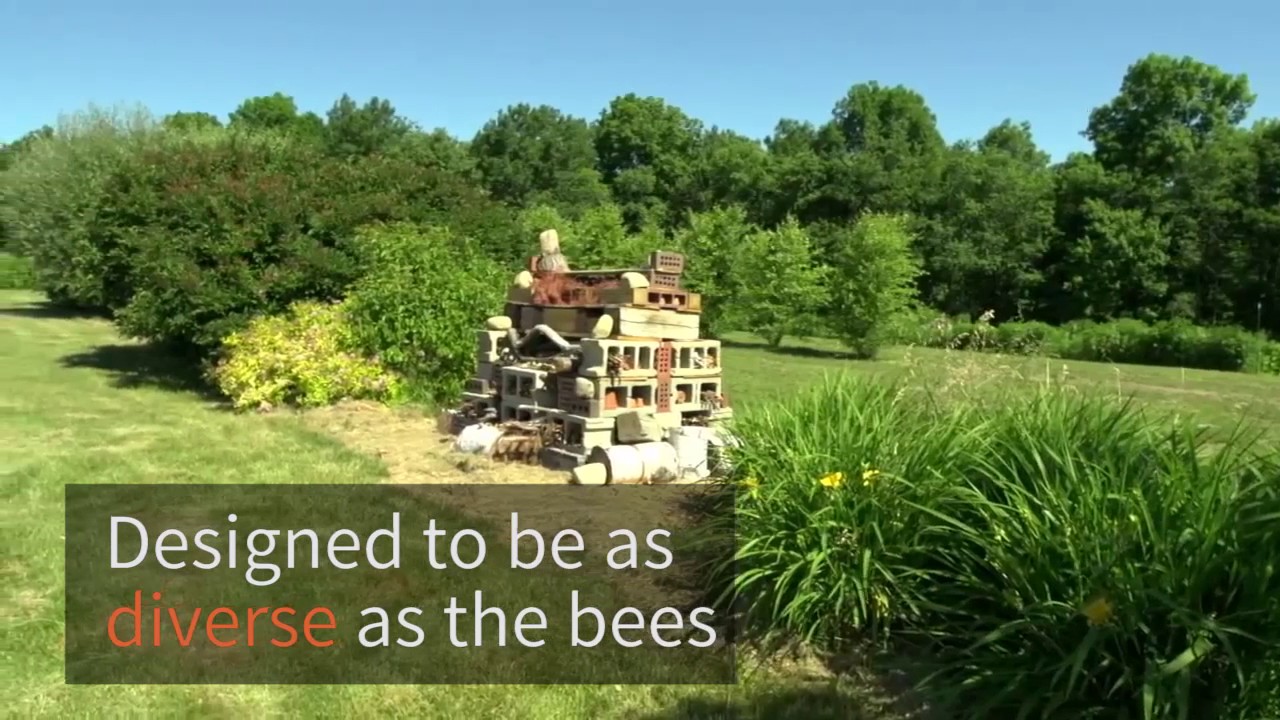 UNH Cooperative Extension: How to Make a Native Bee Hotel