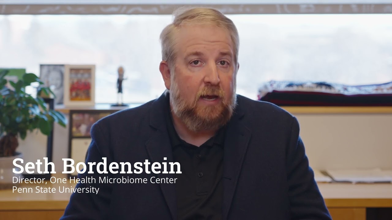 Seth Bordenstein: How does a virus protein change insect sperm to cause cytoplasmic incompatibility?