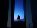 music for processing old memories #bluehour #darkambient #darkforest