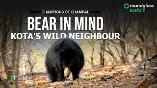 Bear in Mind: Kota’s Wild Neighbour | Sloth Bears | Champions of Chambal | @RoundglassSustain