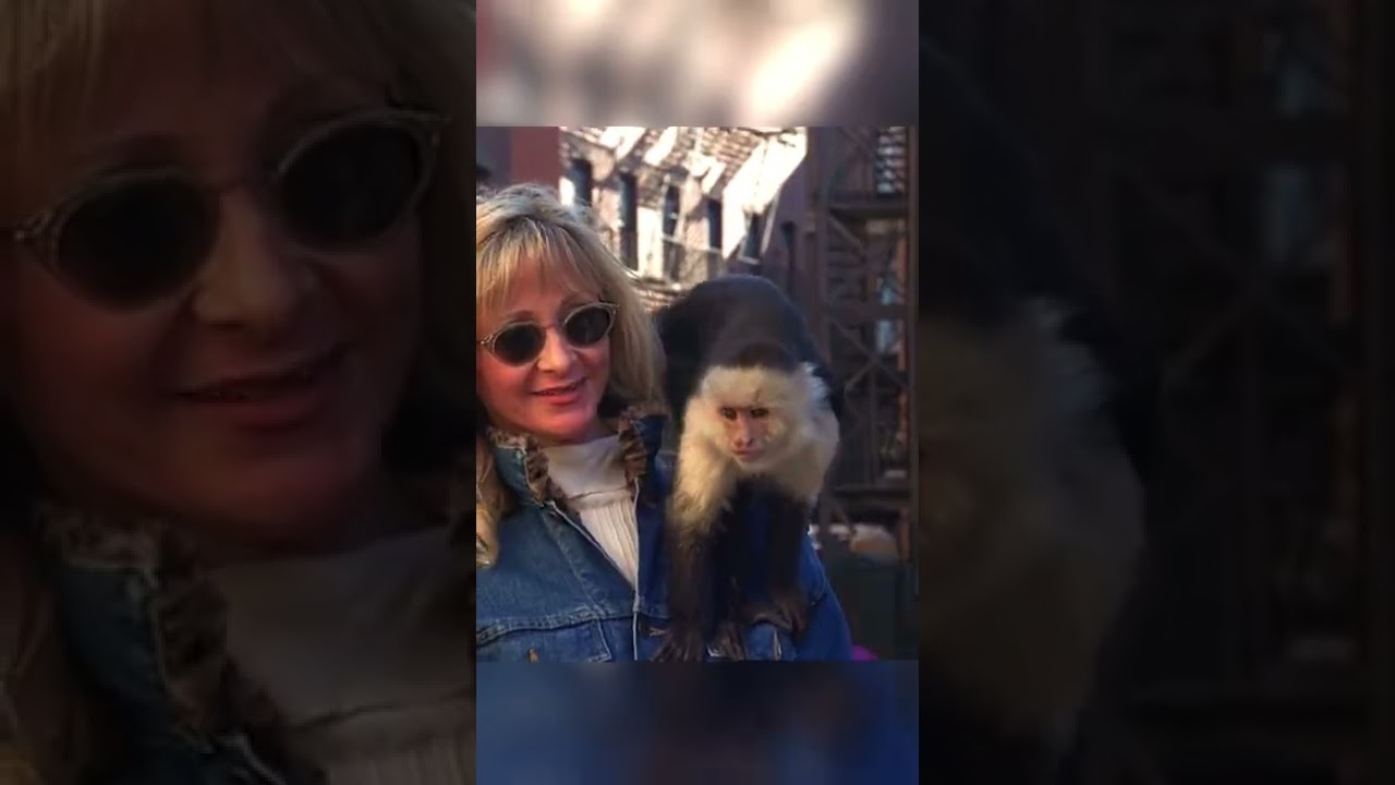 Сериал «друзья» 2х12 Рос пришел увидеть Марселя 