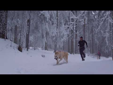 EVVO Video - EVVO Video