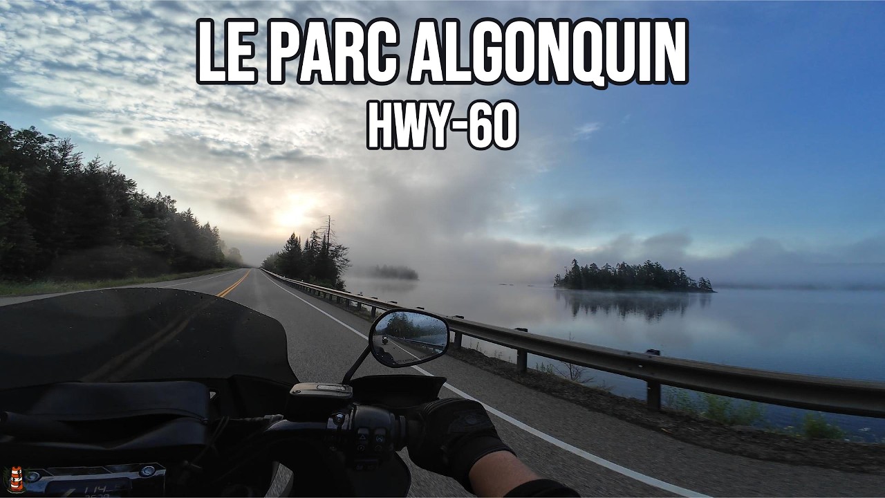Brume, lever de soleil et une araignée géante!! | Roadtrip Moto : Loop QC - ONT (Ép.5)