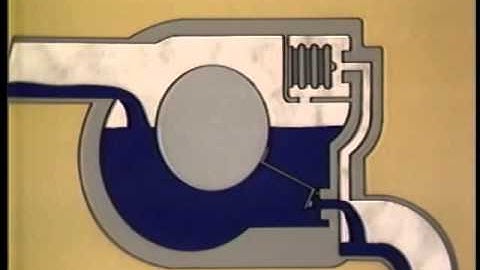 Thermostatic steam trap