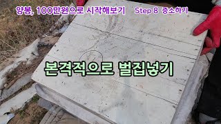 본격 벌집넣기   양봉, 100만원으로 시작해보기 Step 8