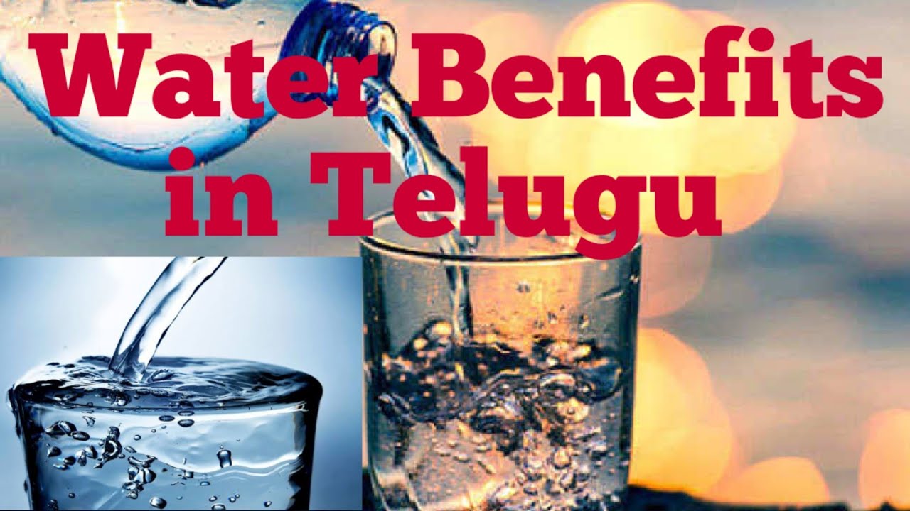 uses of water essay in telugu