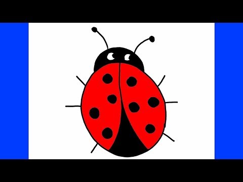 וִידֵאוֹ: איך מציירים חיפושית