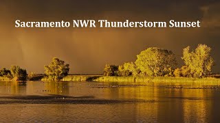 Sacramento National Wildlife Refuge: Snow Geese, Sunset, Thunderstorm!