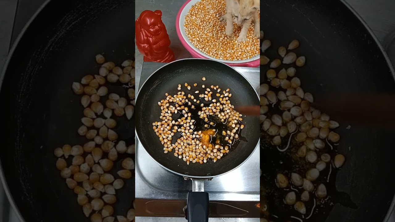 🤯 My Cat 😺  Making homemade popcorn recipe 😋 