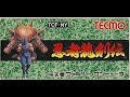 忍者龍剣伝 ファミコン / Ninja Gaiden NES