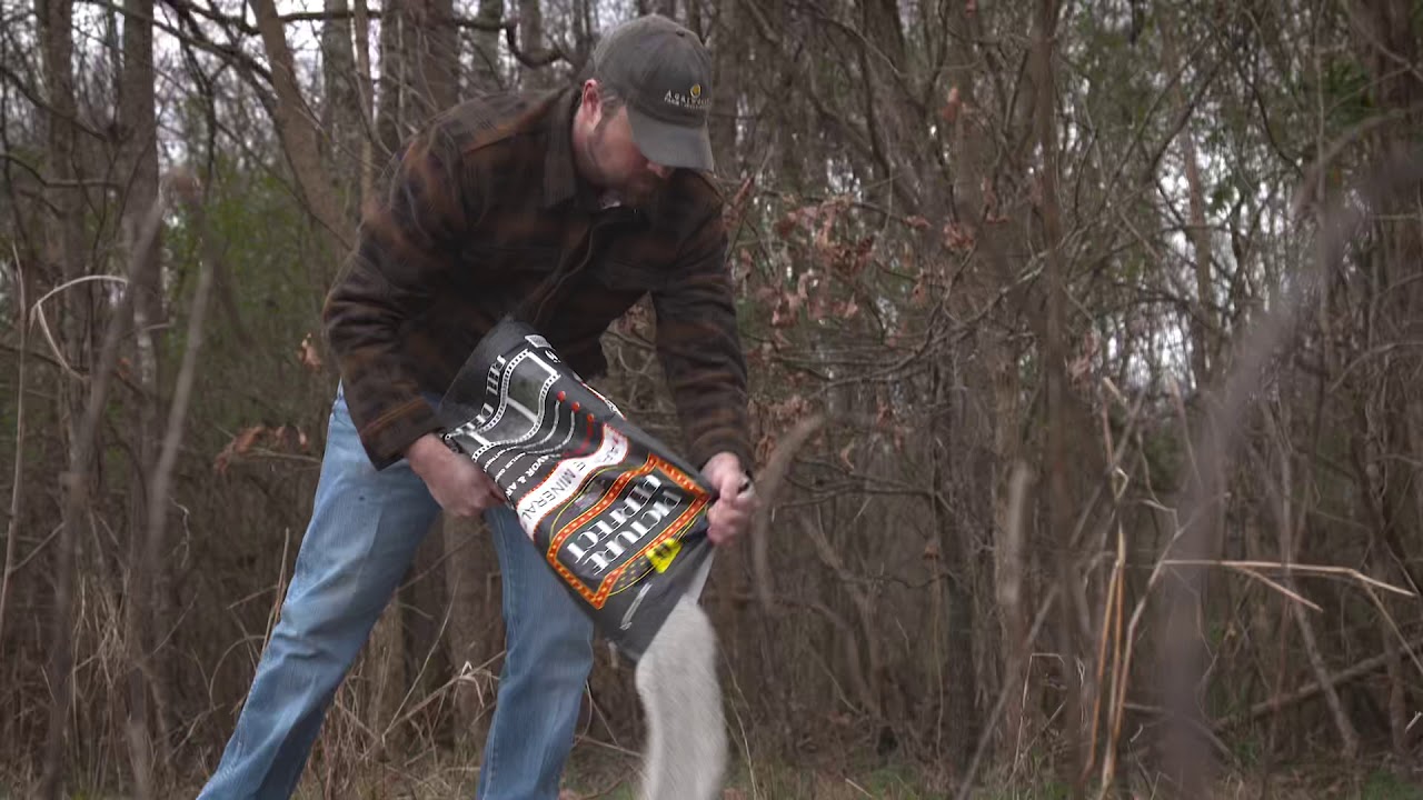 Picture Perfect - Covert Scouting Cameras