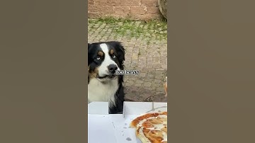 What is a split-second decision you made that changed your life #reddit