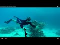 Freediving in Sharm el-Sheikh and Pirate boat 2015