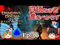 Ep.36 覚悟なき者進むべからず 黒呪島編【Dragon's Dogma: Dark Arisen(ドラゴンズドグマ ダークアリズン)】ストーリー仕立【ゆっくり実況】ダークファンタジーRPGゲーム