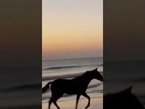 واعتصموا بحبل الله جميعا ولا تفرقوا