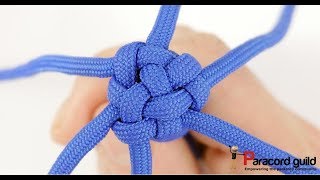 Famous Fancy crown knot- 6 strands Profile