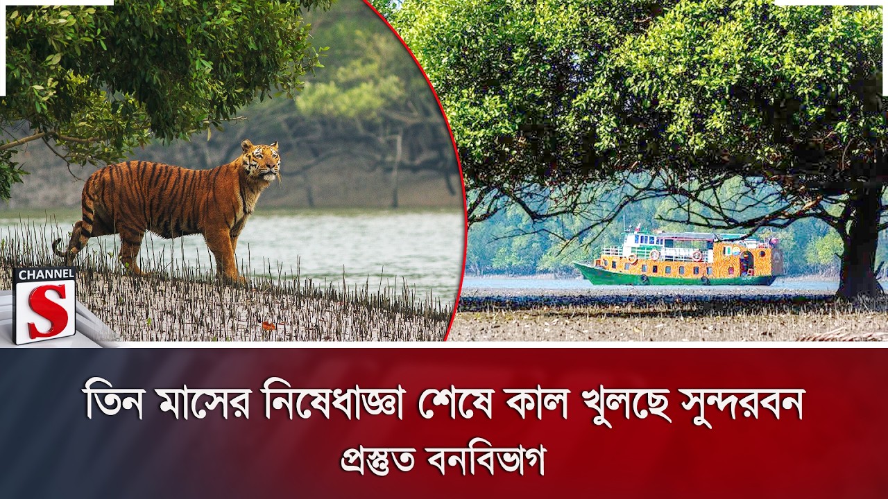 তিন মাসের নিষেধাজ্ঞা শেষে কাল খুলছে সুন্দরবন; প্রস্তুত বনবিভাগ | Sundarbans | Channel S News