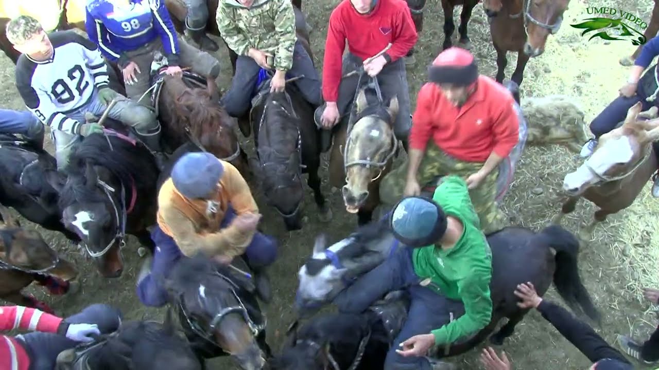 Бузкашии д Сучина 10 01 2026 кисми 2 UMED VIDEO Tajikistan zarafshon 