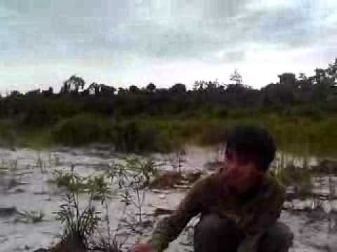 8481 Exist - Rindu Serindunya 2011