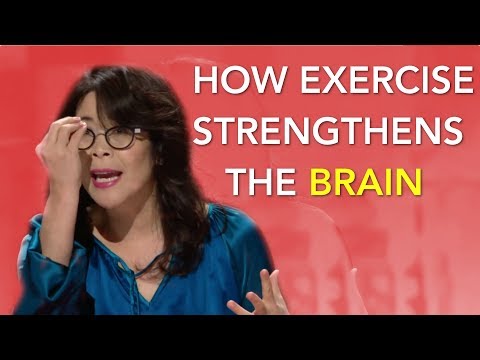 4 Ways Exercise Strengthens the Brain | Wendy Suzuki