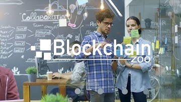 Why clients love working with Blockchain Zoo?