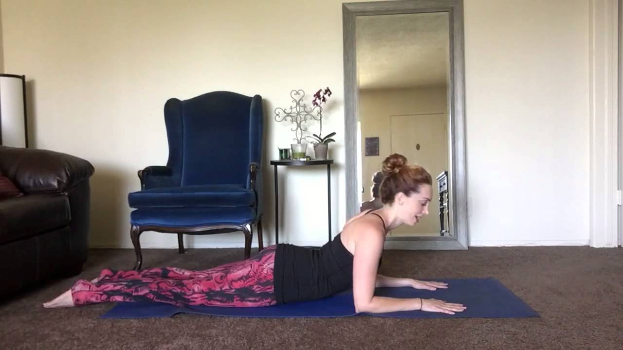 How to do a Pilates Plank for Begginers and/or Plank Modification