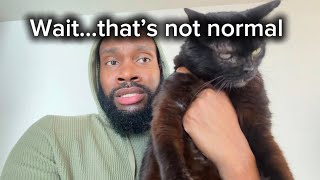 Pet Parents turn into detectives when their cat acts slightly different!