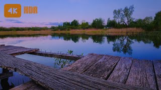 Evening Lake And Nature Sounds For Sleep. Singing Of Evening Birds And Crickets. Sounds Of Nature.