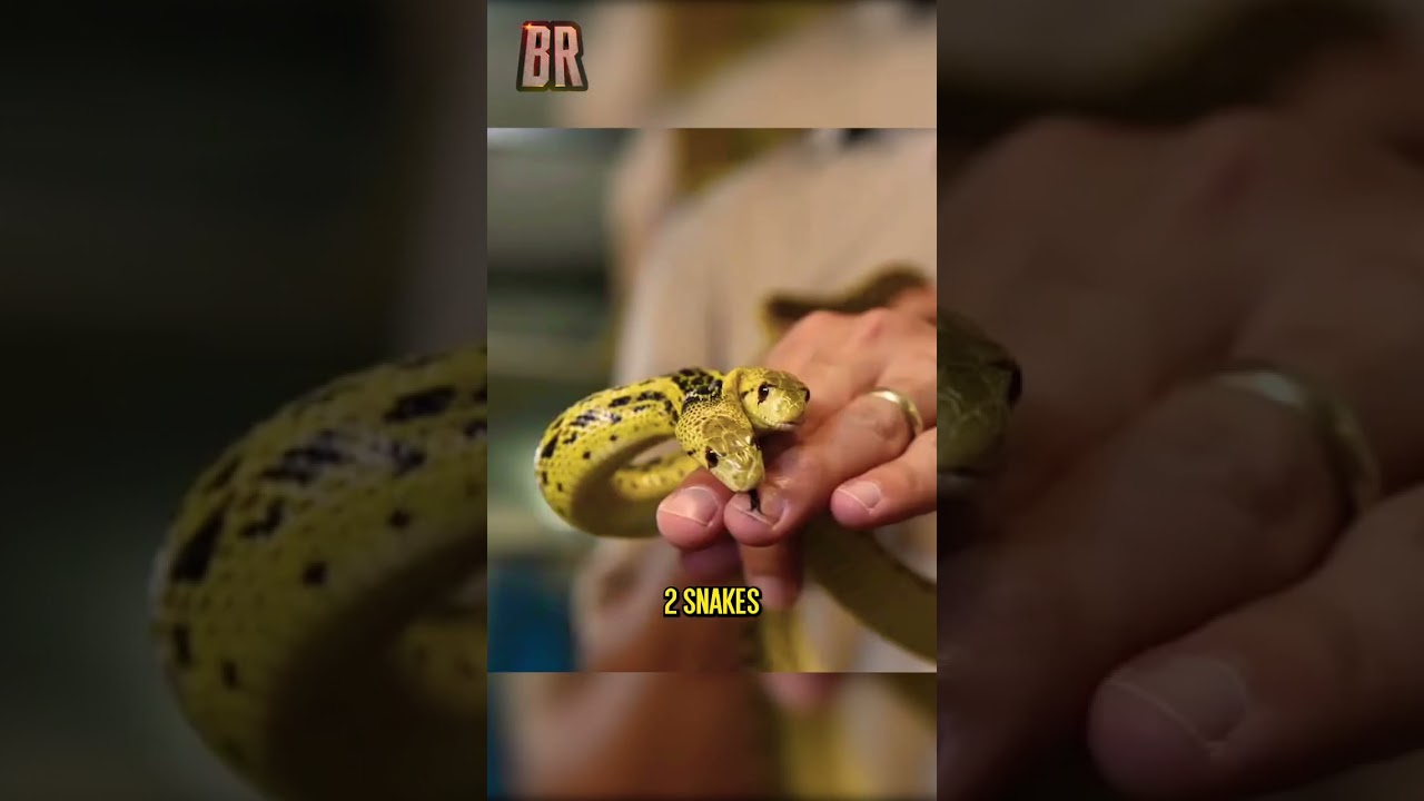 How Nicolas Cage Spends 150 Million Dollars 