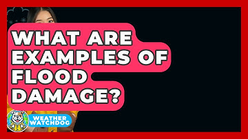 What Are Examples Of Flood Damage? - Weather Watchdog