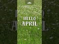 WELCOME APRIL Videos & Posters with Your Brand Logo #LinkConnect #april