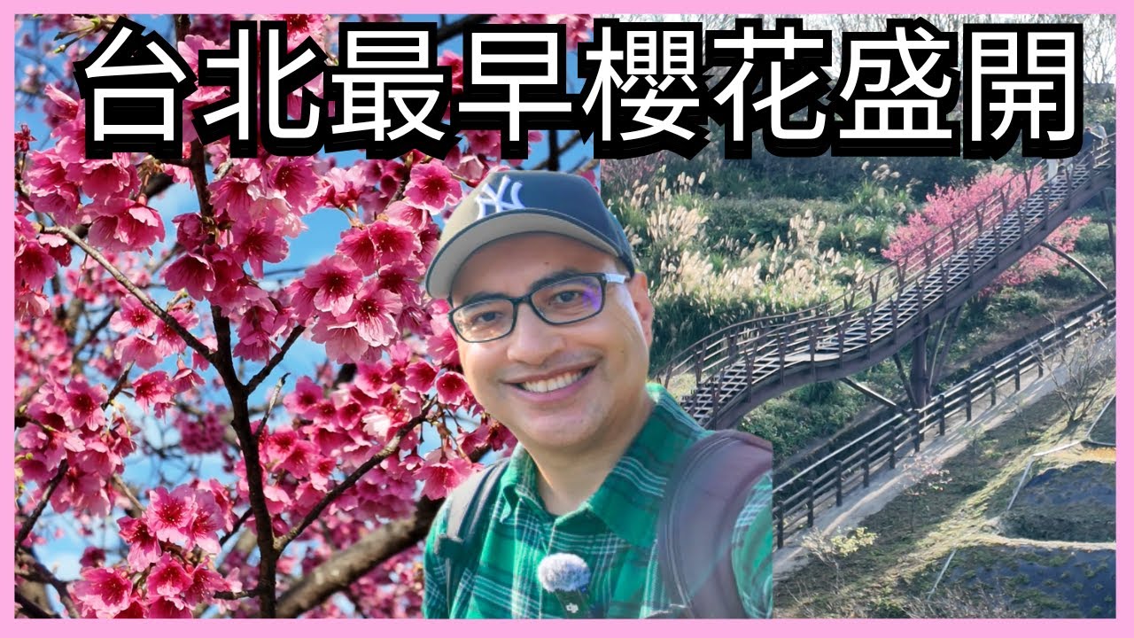 立春初見台北櫻花 First Spring Blossoms in Taipei
