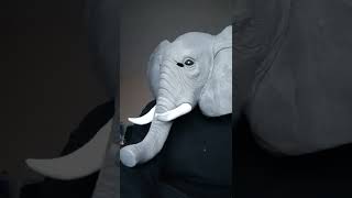 Safari Elephant Mask