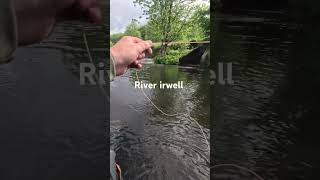 #fishing #flyfishing #irwell #river