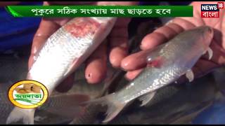 অন্নদাতা | পুকুরে মাছ চাষের খুঁটিনাটি