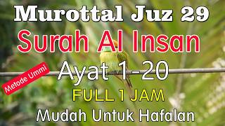 Surat Al Insan Ayat 1-20 Metode Ummi | murottal juz 29 surat al insan ayat 1 sampai 20