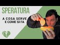 Cos'è la speratura delle uova? A cosa serve la speratura e come va effettuata?